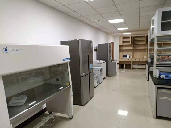 6d1f7bcb5577de7796808ff6c542dadd